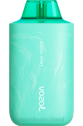 VOZOL STAR 6000/8000 v2 frische Minze VOZOL Preis 6DXZ57