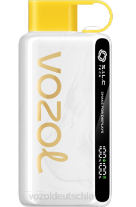 VOZOL STAR 9000/12000 Ananas-Kokos-Eis VOZOL Vape Deutschland 6DXZ46